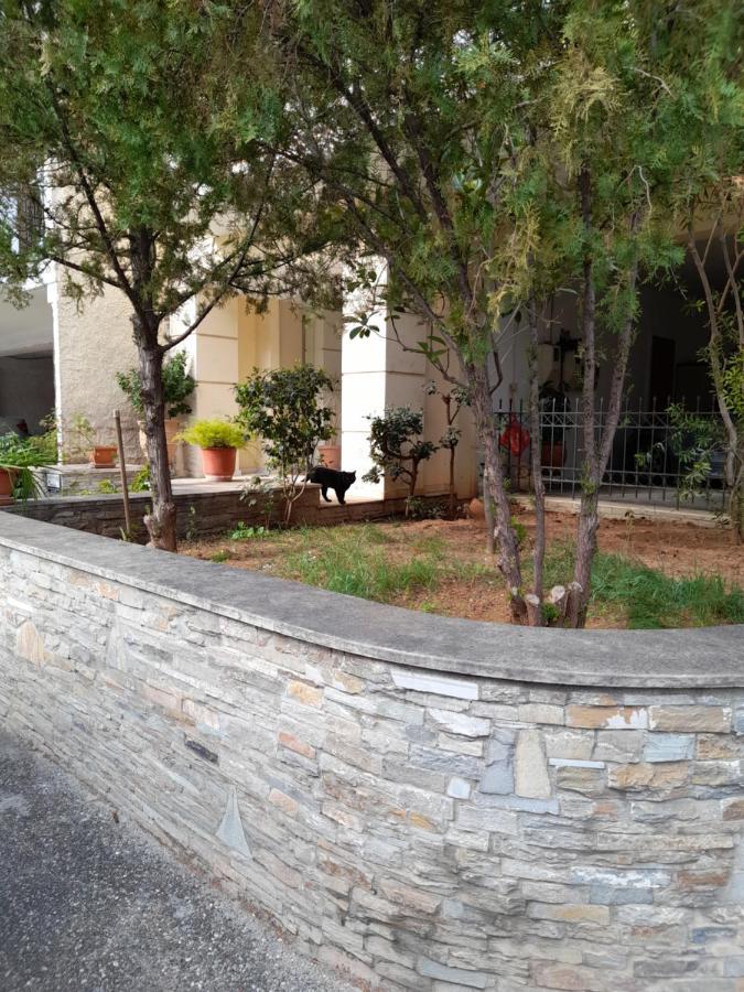 Zoe'S Apartment Bright&Cozy Atenas Exterior foto