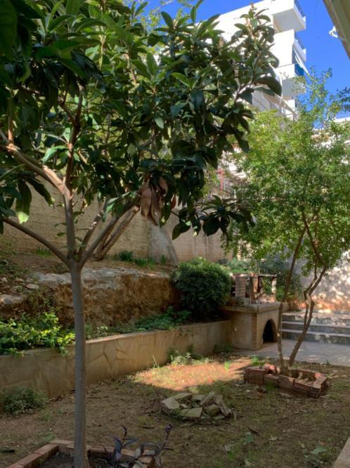 Zoe'S Apartment Bright&Cozy Atenas Exterior foto