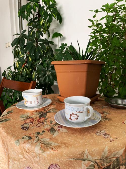 Zoe'S Apartment Bright&Cozy Atenas Exterior foto
